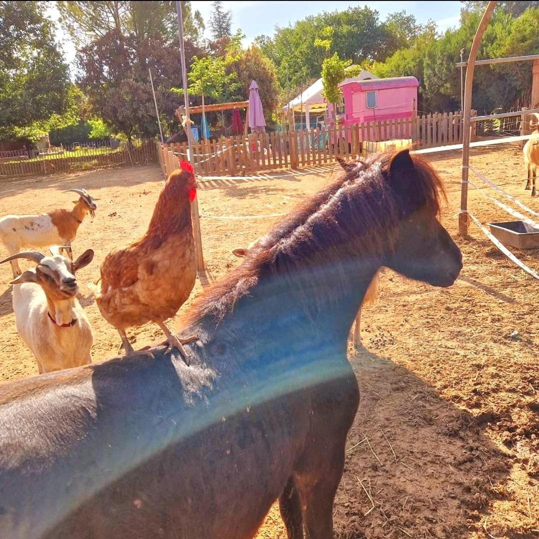 Sejour A La Ferme Villa Jouques Eksteriør bilde